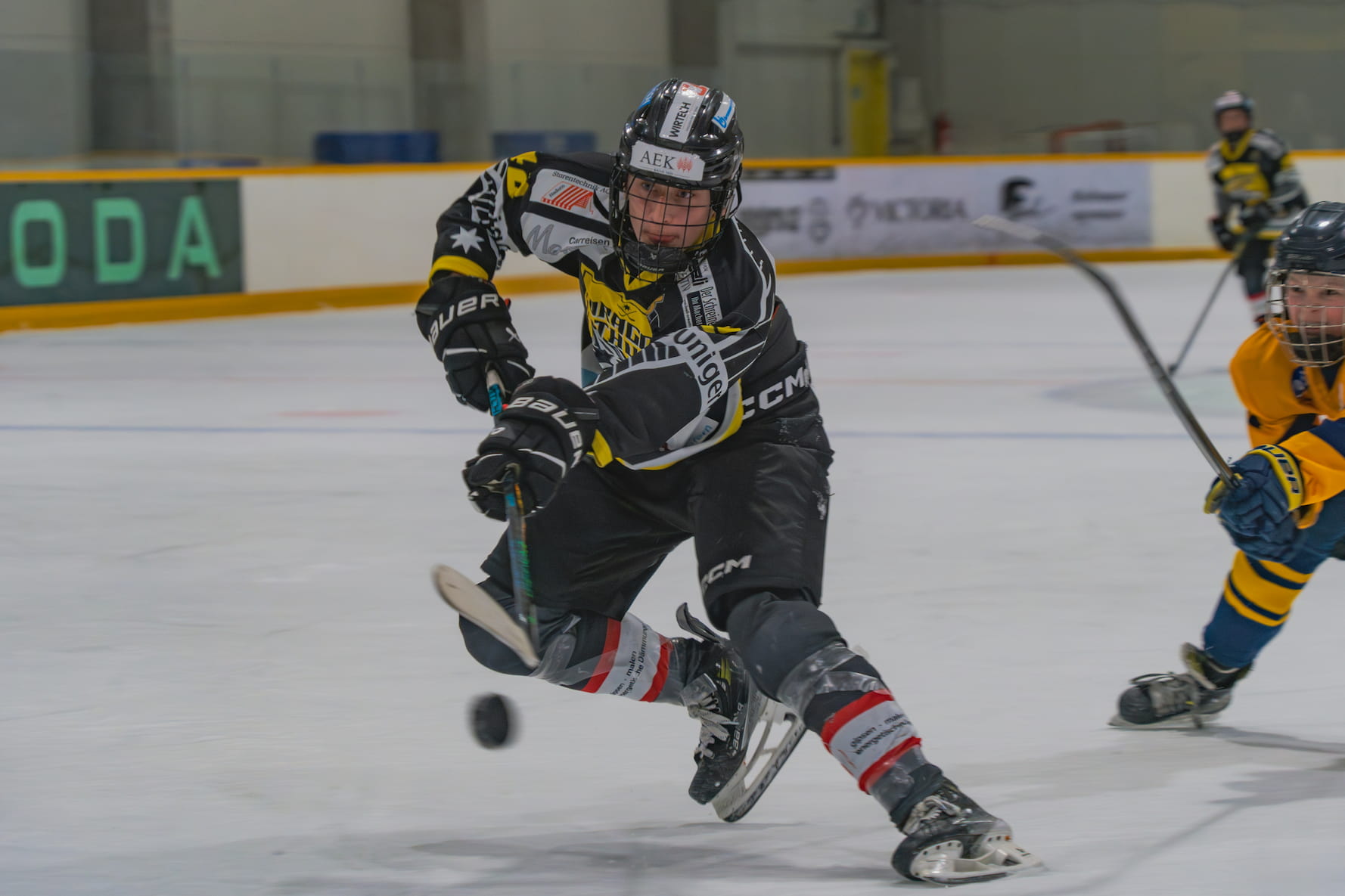 Compare betting odds