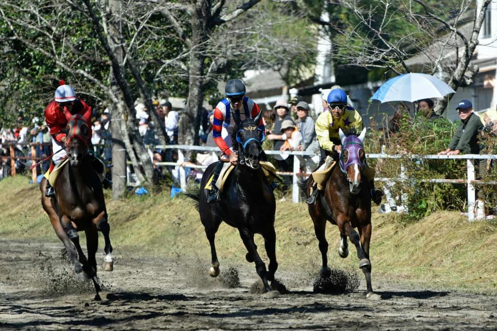 Betting Tips